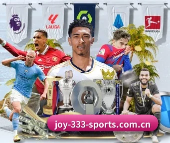 joy-333-sports.com.cn APP